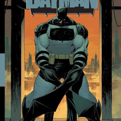 Collection image for: Trades & Hardcovers