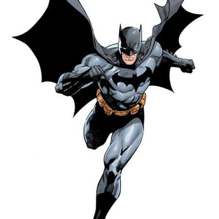 Batman #153 Cover E Daniel Sampere All In Foil Variant