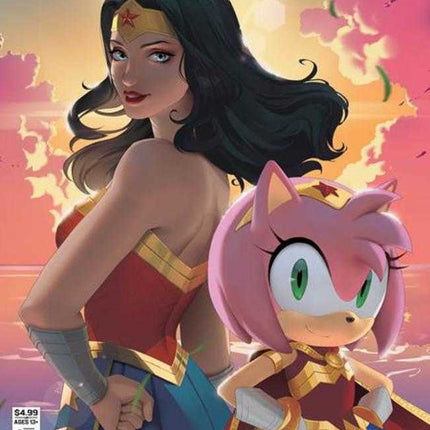 DC X Sonic The Hedgehog The Metal Legion #2 (Of 5) Cover B R1 C0 Card Stock Variant