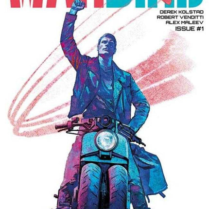 Warbird #1 (Of 4) Cover A Alex Maleev