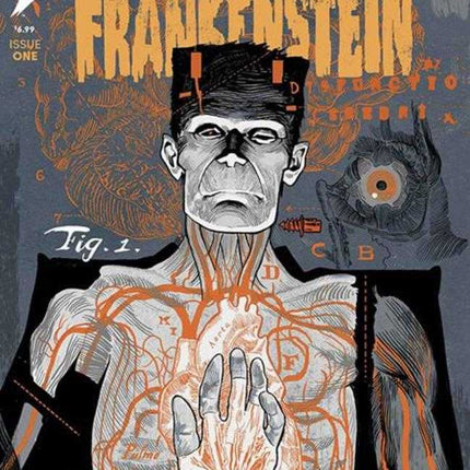 Universal Monsters Frankenstein Black & White Special #1 (Of 2) Cover A Michael Walsh