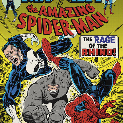 Punisher vs. Spider-Man #3 Erik Larsen Variant
