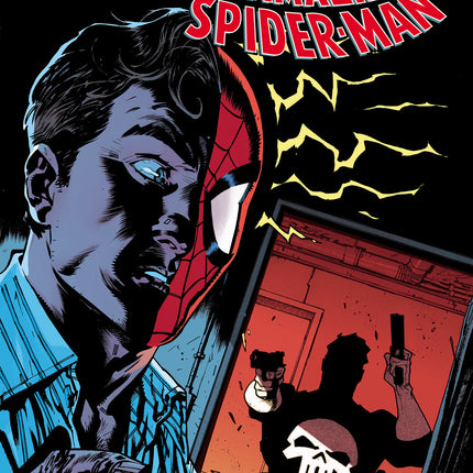 Punisher vs. Spider-Man #4