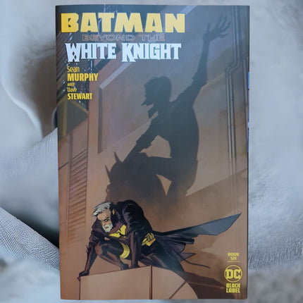 BATMAN BEYOND THE WHITE KNIGHT #6 CVR B FIONA STAPLES