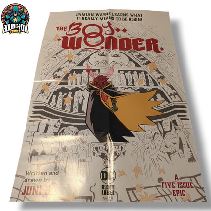 Boy Wonder  18" x 24" Promo Retailer Poster