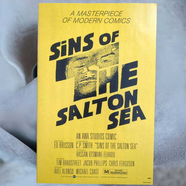 SINS OF THE SALTON SEA #4 - CHRIS FERGUSON - HOMAGE VARIANT (2023)