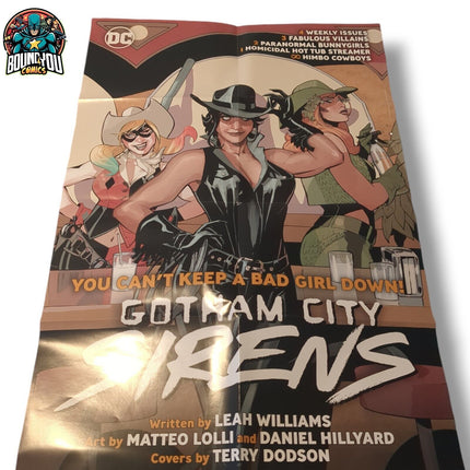 Gotham City Sirens  36" x 24" Promo Retailer Poster