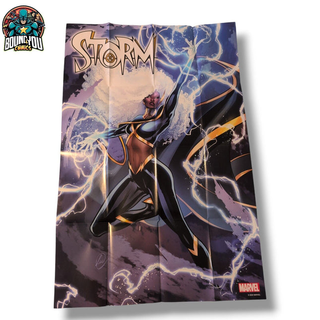 Storm  24" x 36" Promo Retailer Poster