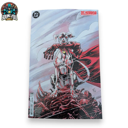 DC Horror Presents...  #2 - Tom Fowler Variant (2024)
