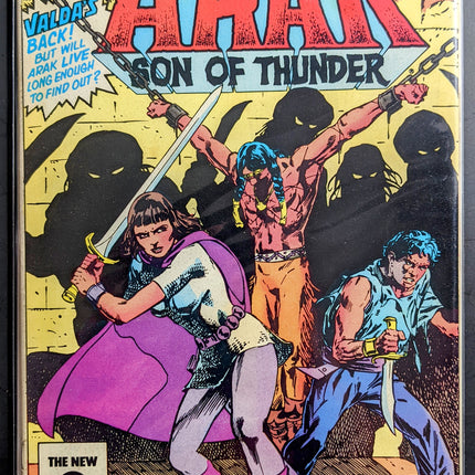 Arak Son Of Thunder #38 (1981)