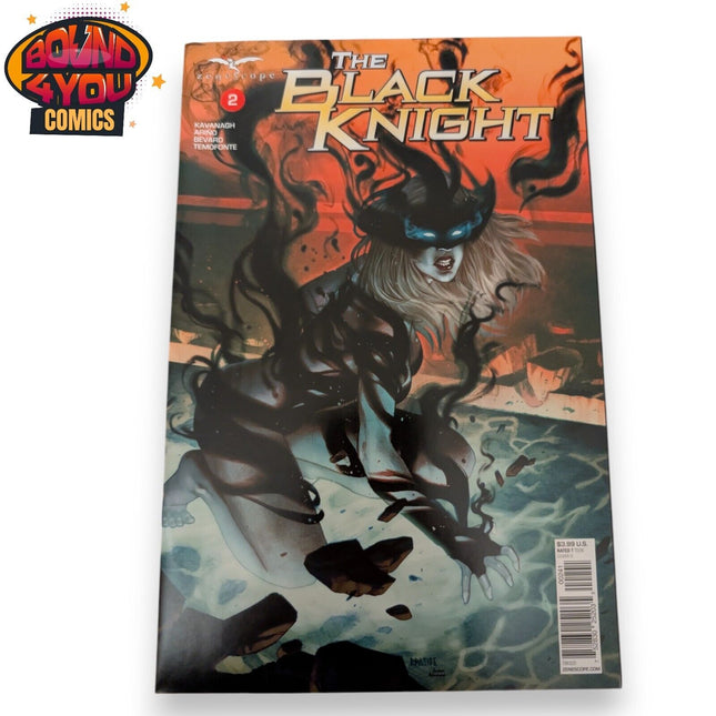 The Black Knight #2 - Cvr D Pasibe Variant (2018)