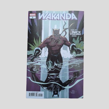 Wakanda #2  Terry Dodson Variant Marvel Comics 2022