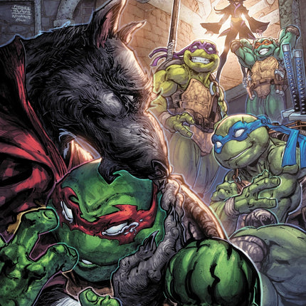 Teenage Mutant Ninja Turtles #15 - Freddie E. Williams II - IDW 2026