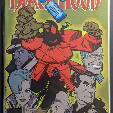 Black Hood #10 (1992)